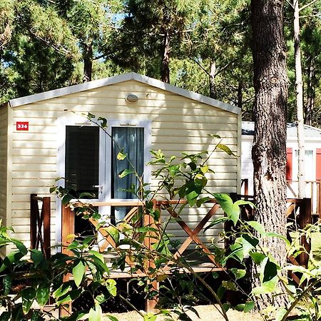 Orbitur Sitava Milfontes Bungalows - Caravan Park Odemira Kültér fotó